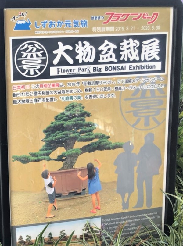 〜2020年6月30日(日)　「大物盆栽展・日本初開催」・はままつフラワーパーク