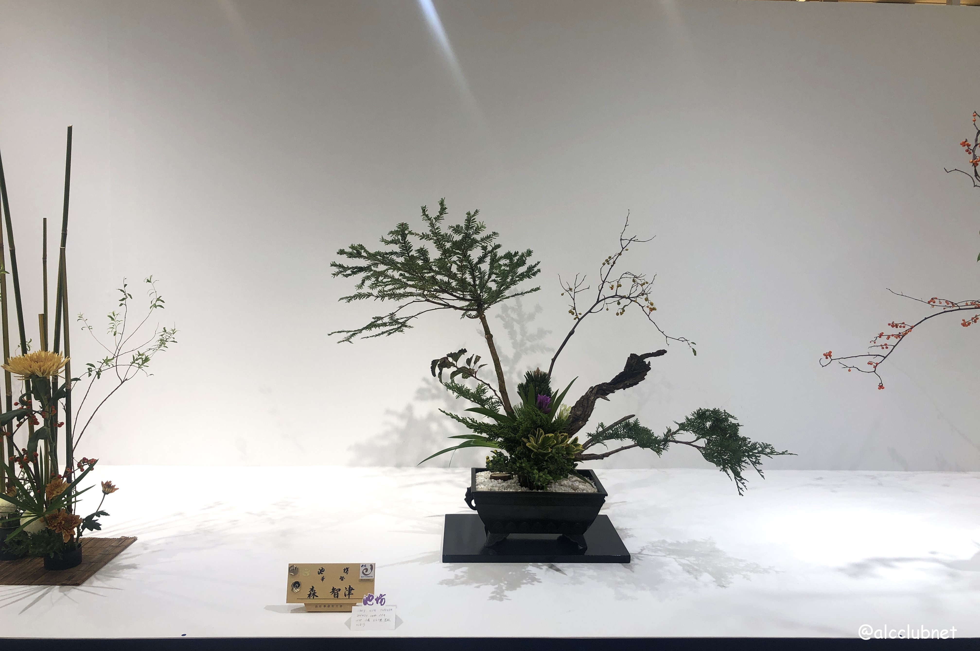 rVlؐiЎxElzxE|xu΂ȒrVWvJÂ܂Ƃߏ񁙜c@2025N1029ij`113iEjj SSݓX {8K É