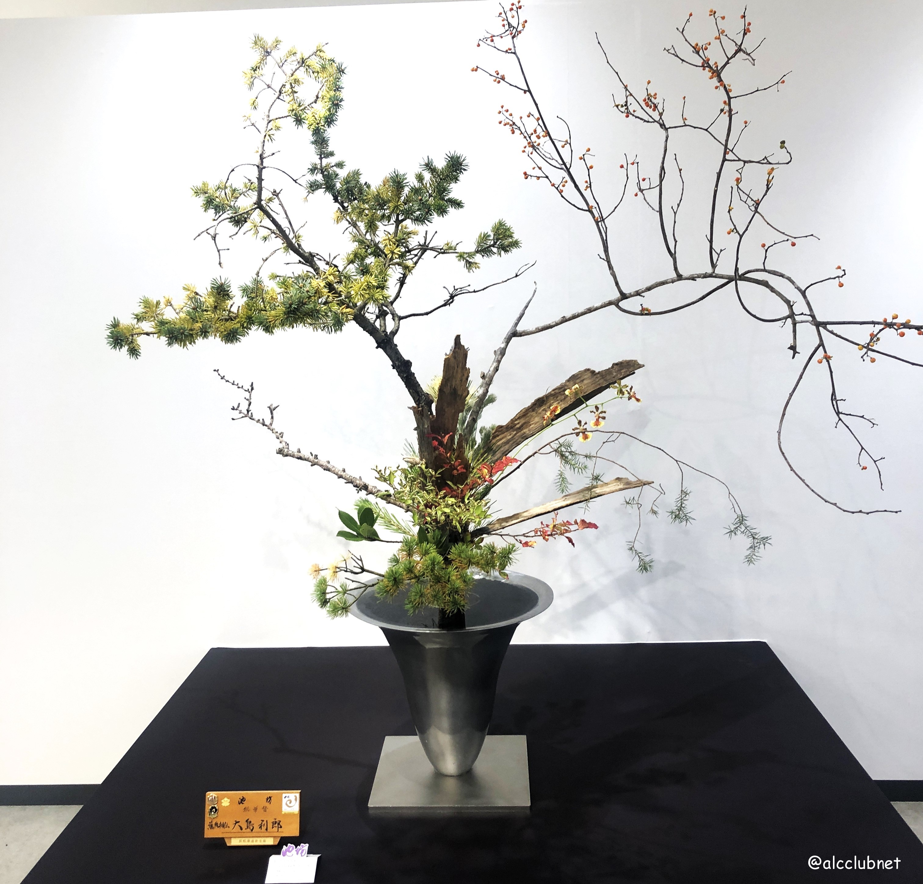 rVlؐiЎxElzxE|xu΂ȒrVWvJÂ܂Ƃߏ񁙜c@2025N1029ij`113iEjj SSݓX {8K É