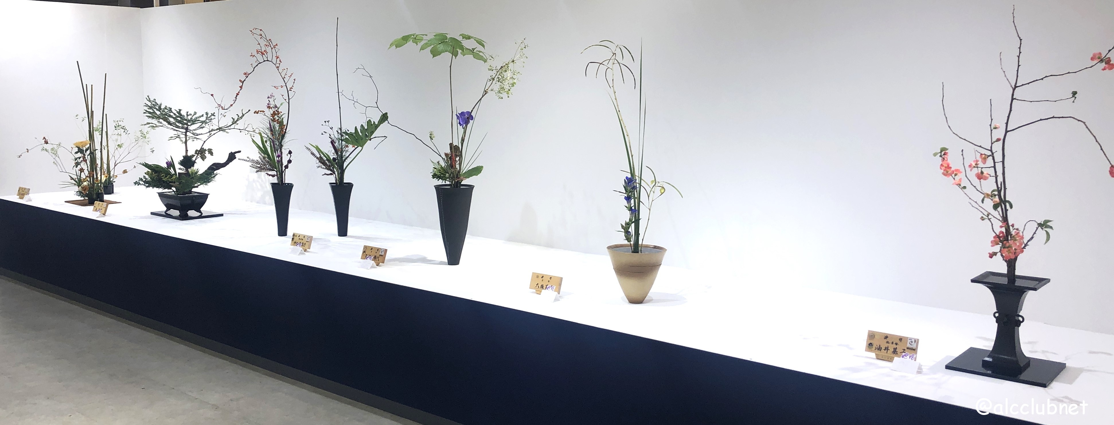 rVlؐiЎxElzxE|xu΂ȒrVWvJÂ܂Ƃߏ񁙜c@2025N1029ij`113iEjj SSݓX {8K É