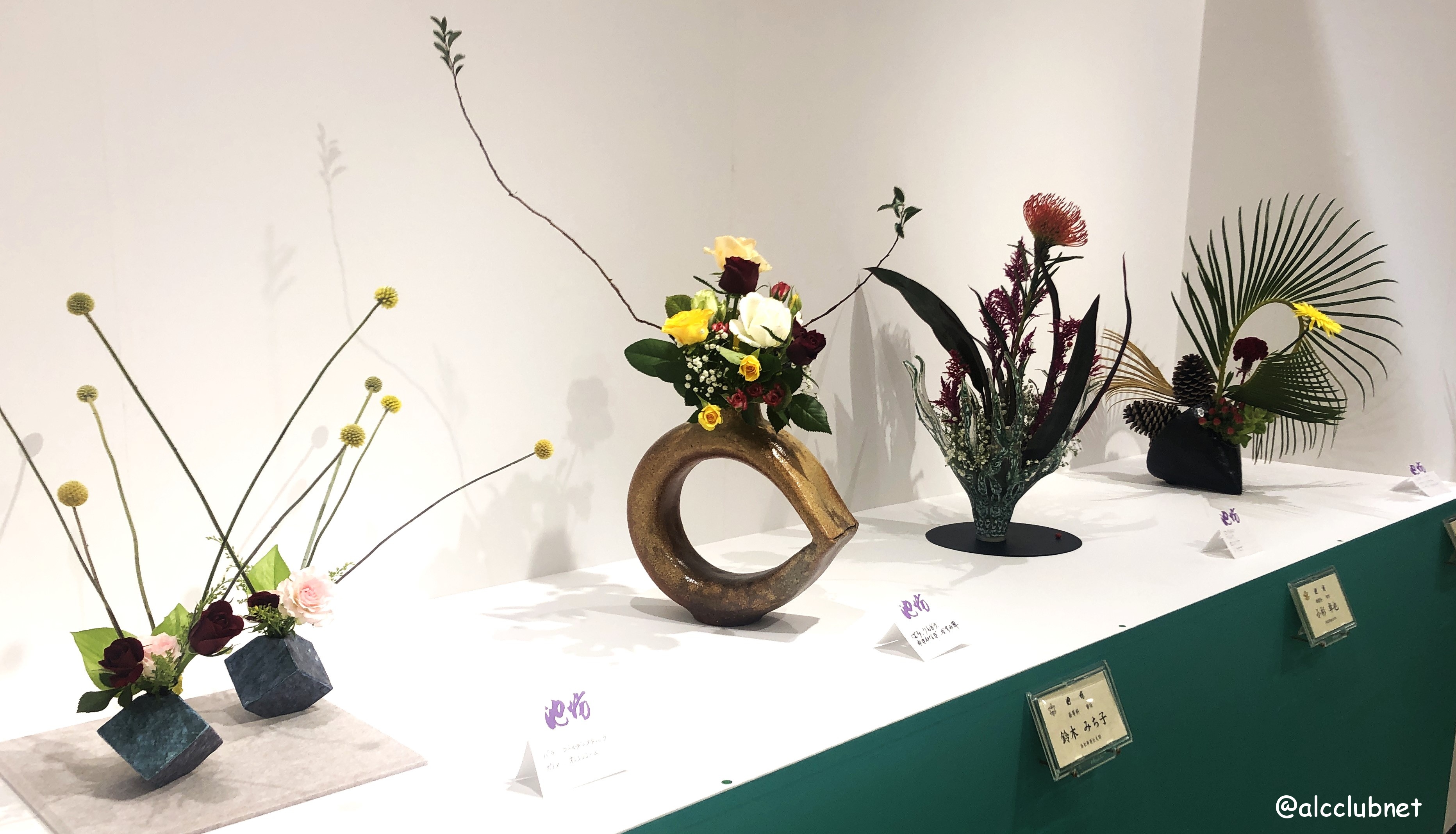 rVlؐiЎxElzxE|xu΂ȒrVWvJÂ܂Ƃߏ񁙜c@2025N1029ij`113iEjj SSݓX {8K É