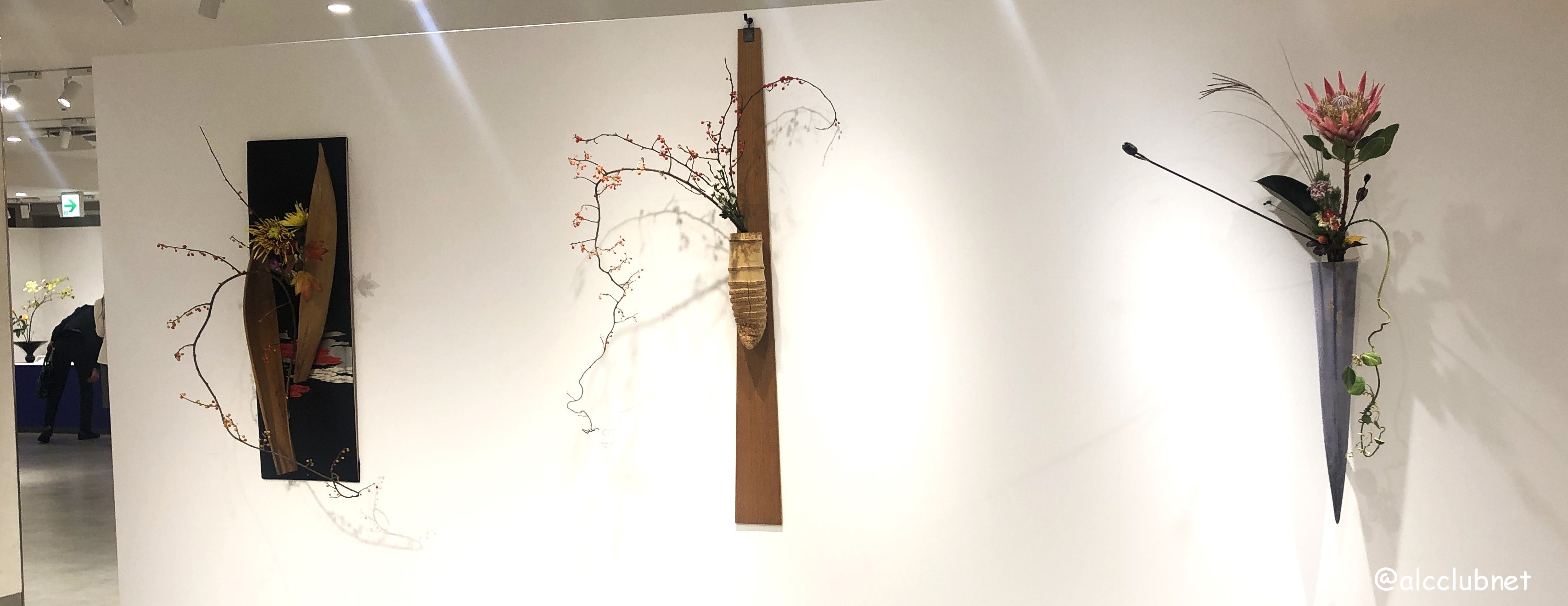 rVlؐiЎxElzxE|xu΂ȒrVWvJÂ܂Ƃߏ񁙜c@2025N1029ij`113iEjj SSݓX {8K É