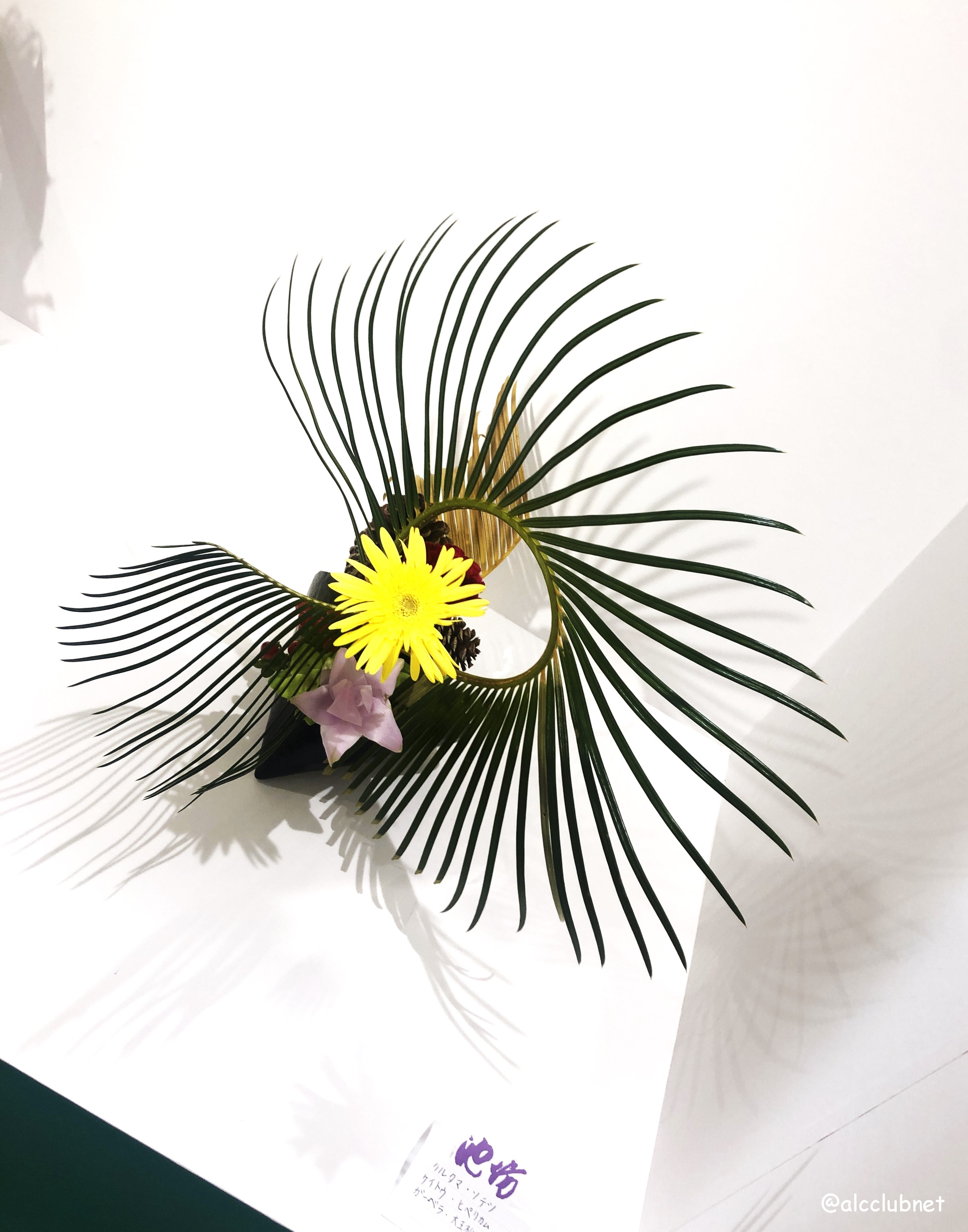 rVlؐiЎxElzxE|xu΂ȒrVWvJÂ܂Ƃߏ񁙜c@2025N1029ij`113iEjj SSݓX {8K É