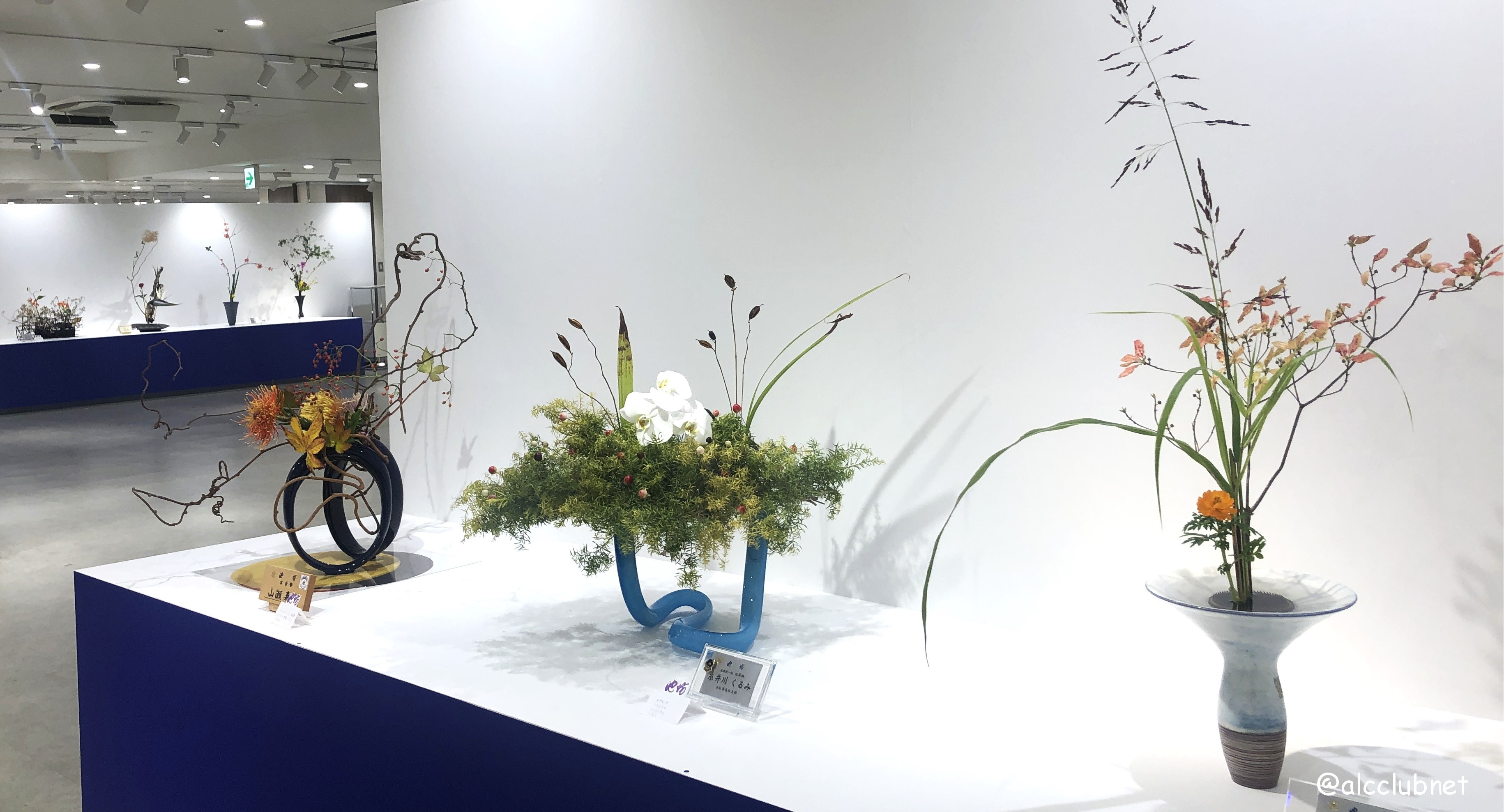 rVlؐiЎxElzxE|xu΂ȒrVWvJÂ܂Ƃߏ񁙜c@2025N1029ij`113iEjj SSݓX {8K É