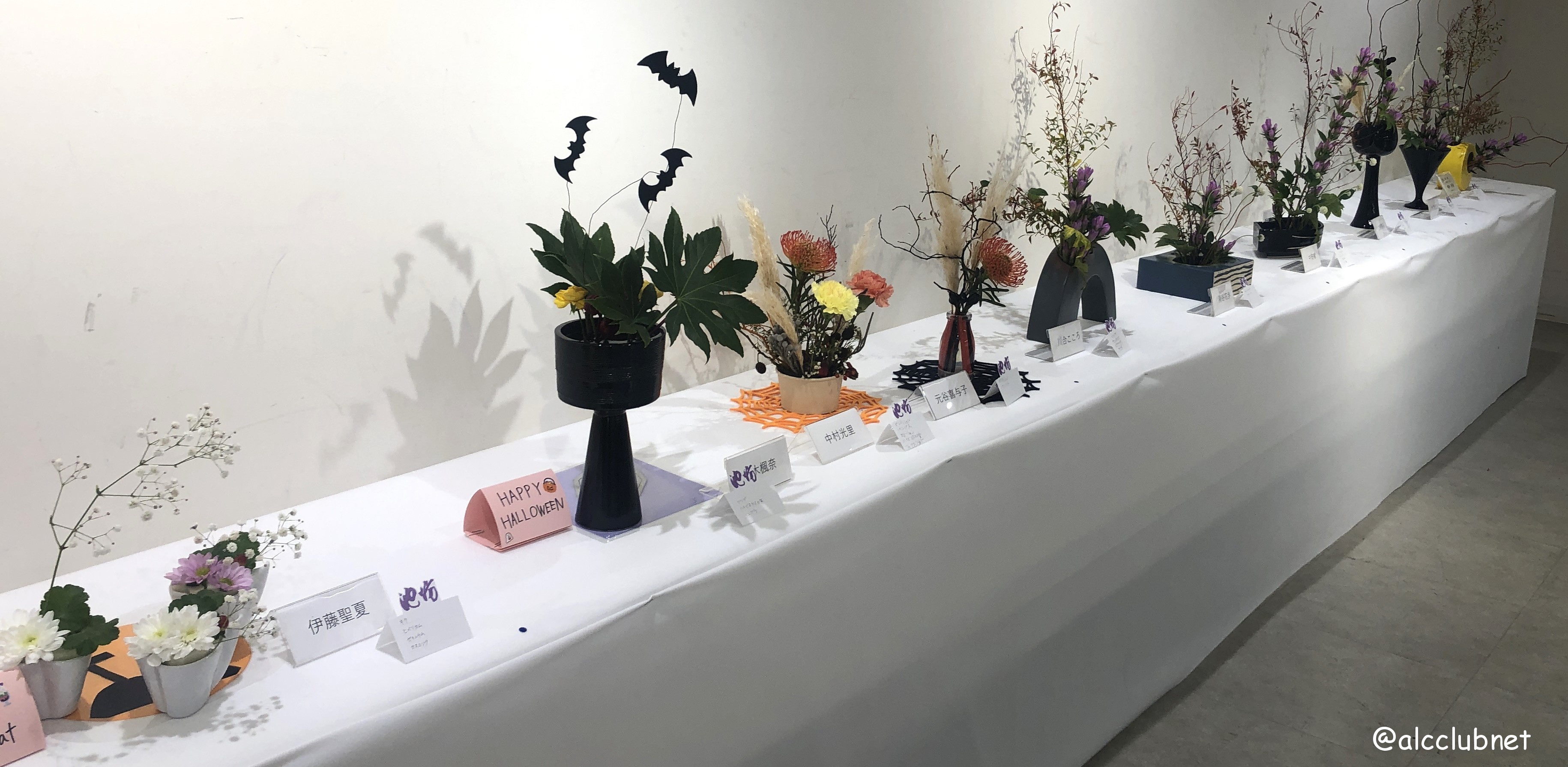 rVlؐiЎxElzxE|xu΂ȒrVWvJÂ܂Ƃߏ񁙜c@2025N1029ij`113iEjj SSݓX {8K É