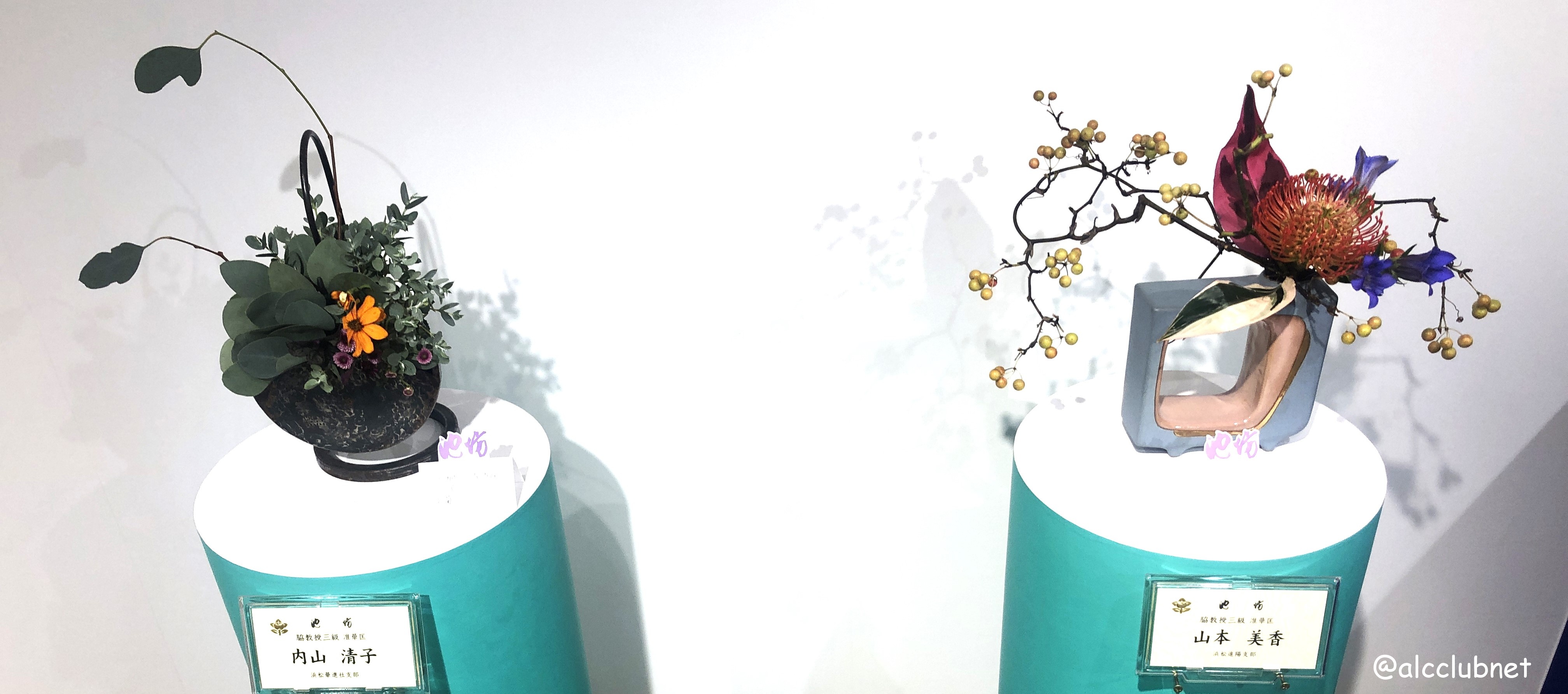 rVlؐiЎxElzxE|xu΂ȒrVWvJÂ܂Ƃߏ񁙜c@2025N1029ij`113iEjj SSݓX {8K É