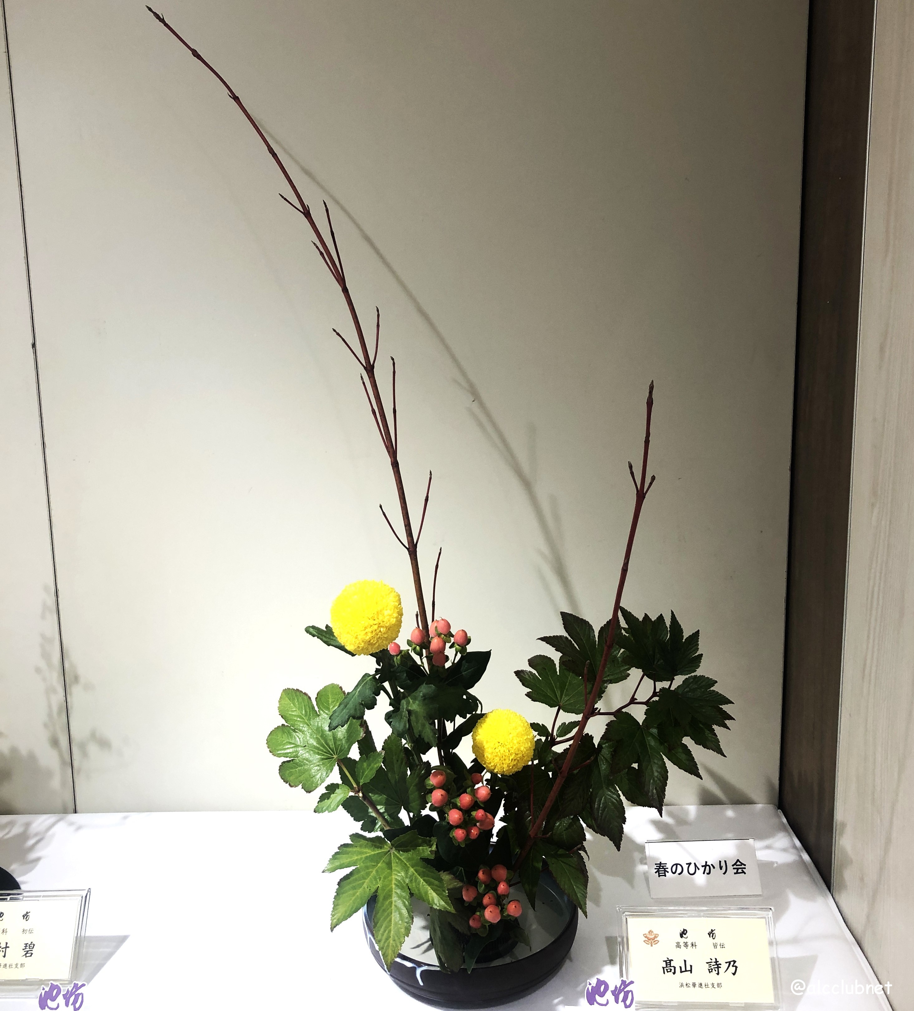 rVlؐiЎxElzxE|xu΂ȒrVWvJÂ܂Ƃߏ񁙜c@2025N1029ij`113iEjj SSݓX {8K É